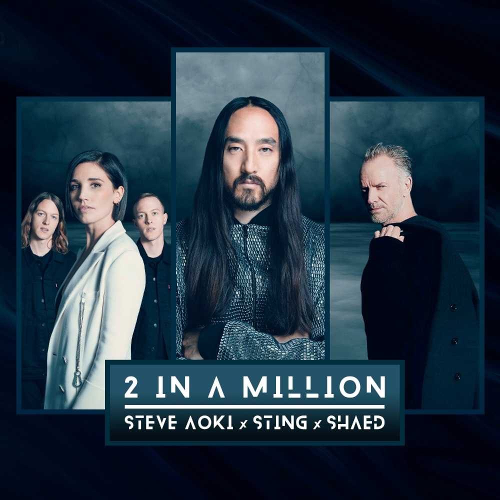 Steve Aoki, Sting & Shaed - 2 In A Million